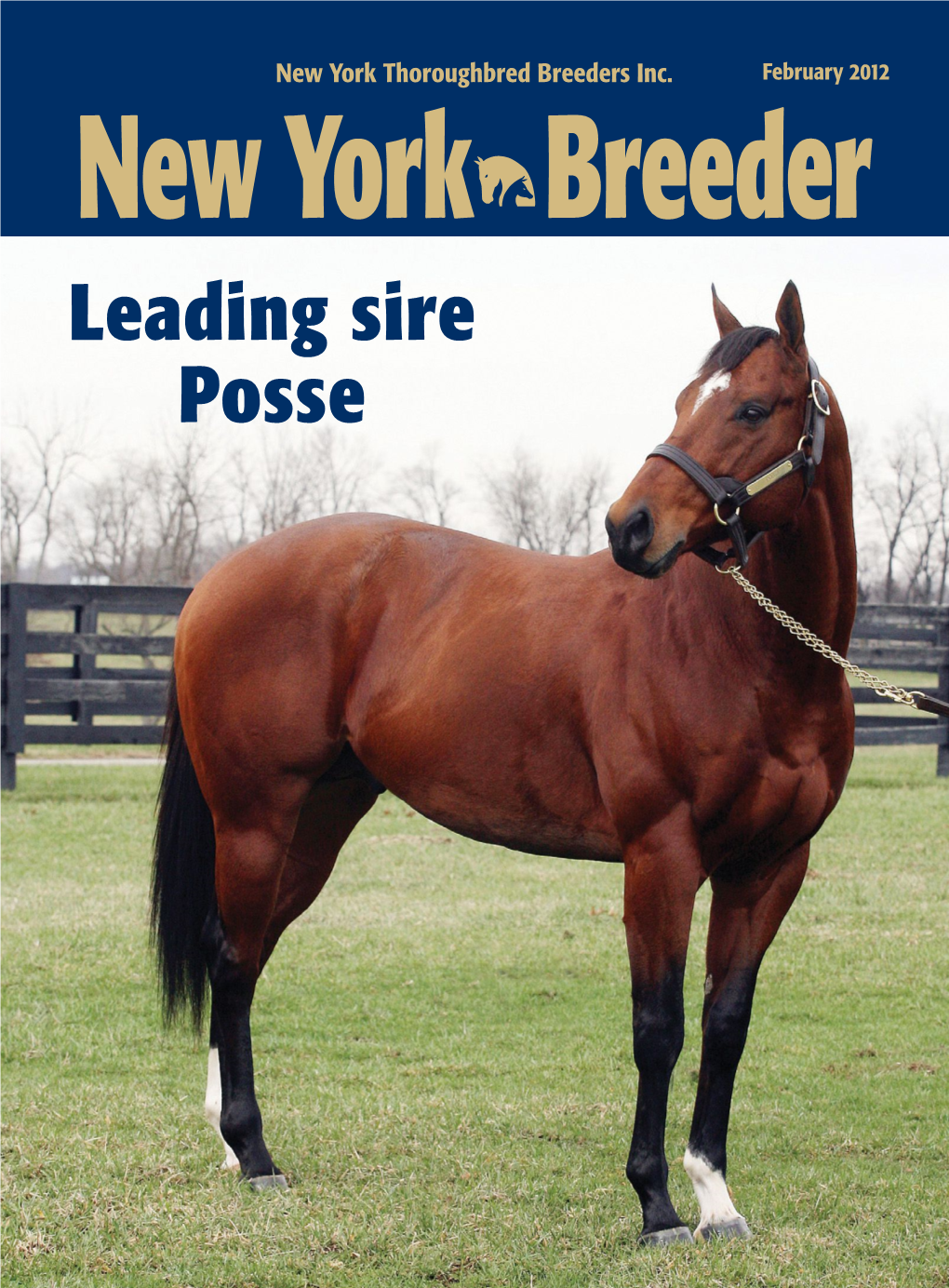 Leading Sire Posse