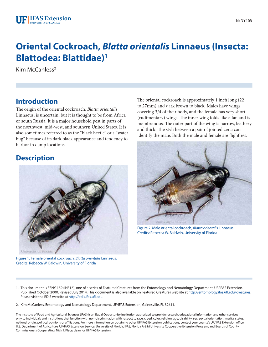Oriental Cockroach, Blatta Orientalis Linnaeus (Insecta: Blattodea: Blattidae)1 Kim Mccanless2