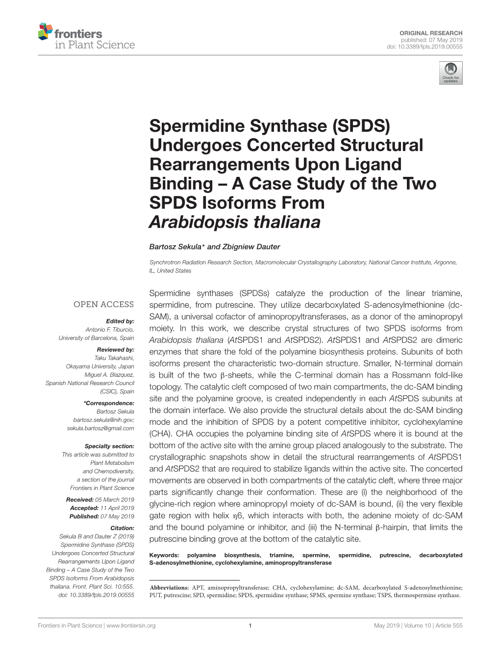 Spermidine Synthase (SPDS) Undergoes Concerted Structural Rearrangements Upon Ligand Binding – a Case Study of the Two SPDS Isoforms from Arabidopsis Thaliana