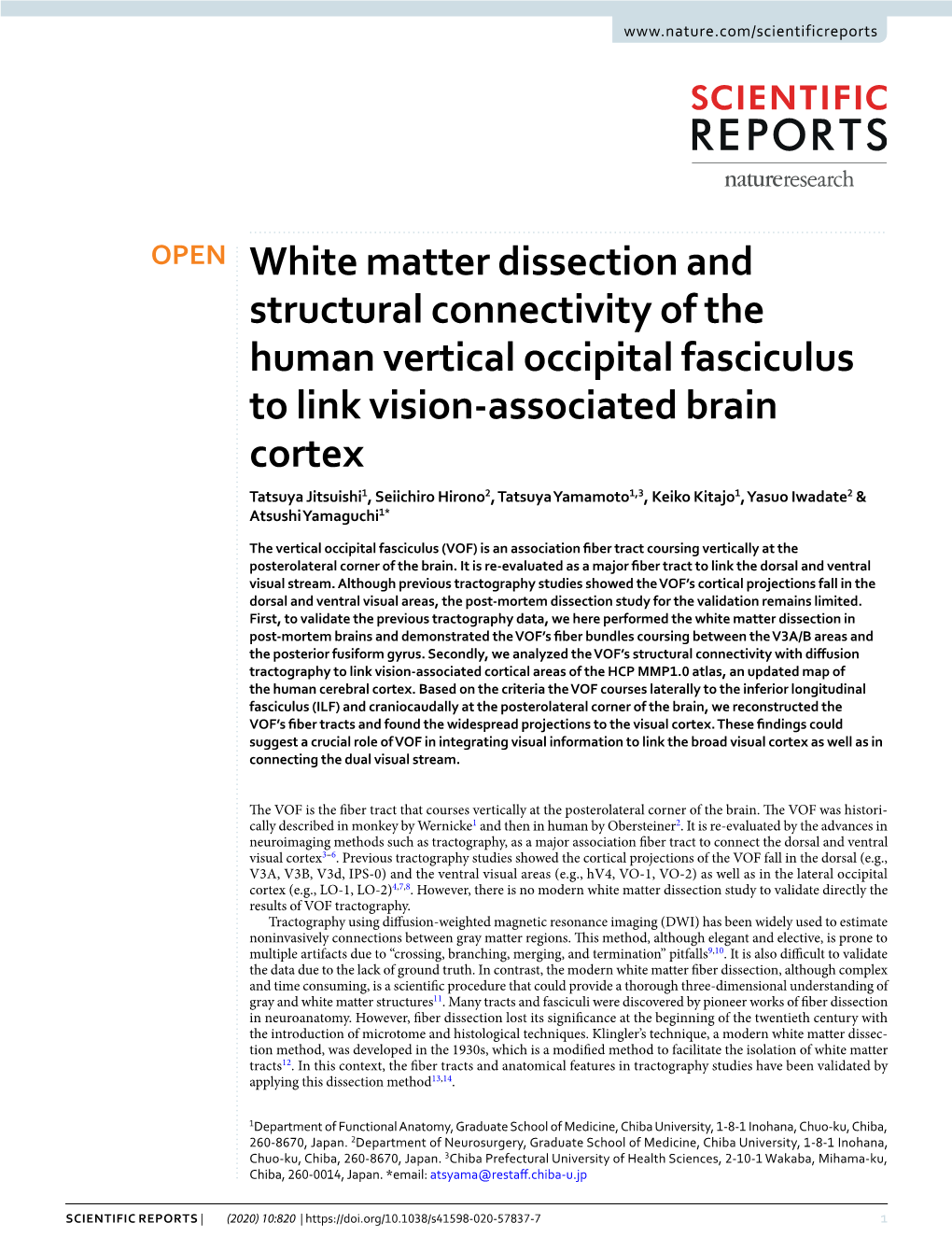 White Matter Dissection and Structural Connectivity of the Human Vertical