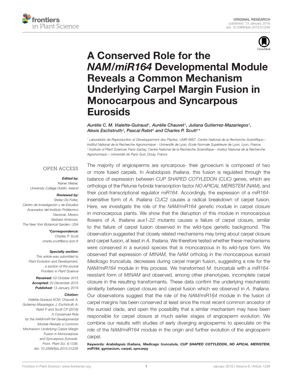 A Conserved Role for the NAM/Mir164 Developmental