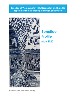 Benefice Profile May 2020