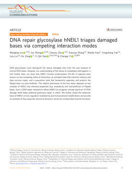 DNA Repair Glycosylase Hneil1 Triages Damaged Bases Via Competing Interaction Modes