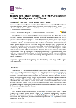 The Septin Cytoskeleton in Heart Development and Disease