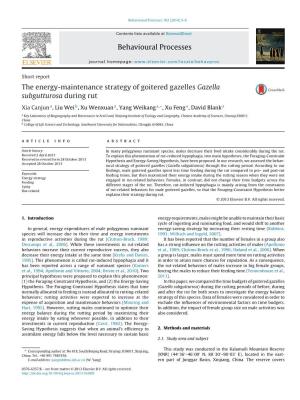 The Energy-Maintenance Strategy of Goitered Gazelles Gazella Subgutturosa During Rut