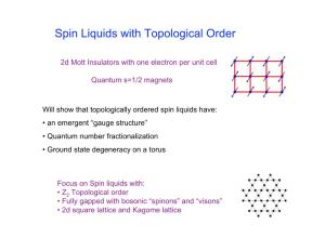 Spin Liquids with Topological Order