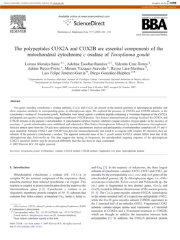 The Polypeptides COX2A and COX2B Are Essential Components of the Mitochondrial Cytochrome C Oxidase of Toxoplasma Gondii