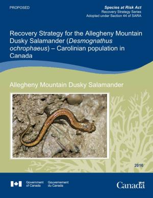 Allegheny Mountain Dusky Salamander (Desmognathus Ochrophaeus) – Carolinian Population in Canada