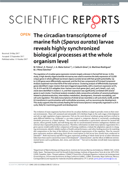 The Circadian Transcriptome of Marine Fish (Sparus Aurata) Larvae Reveals
