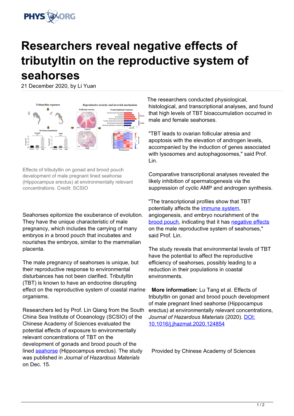 Researchers Reveal Negative Effects of Tributyltin on the Reproductive System of Seahorses 21 December 2020, by Li Yuan