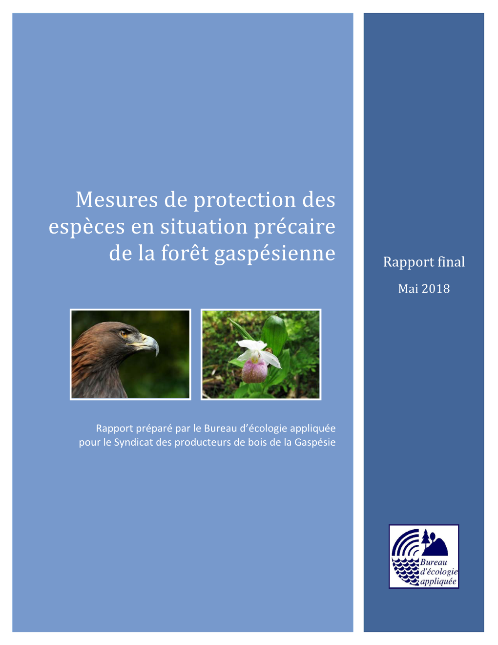 Mesures De Protection Des Espèces En Situation Précaire De La Forêt Gaspésienne Ii