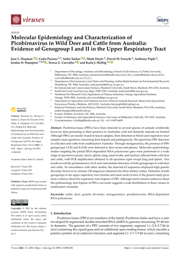 Molecular Epidemiology and Characterization of Picobirnavirus in Wild Deer and Cattle from Australia: Evidence of Genogroup I and II in the Upper Respiratory Tract