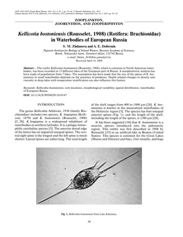 Kellicotia Bostoniensis (Rousselet, 1908) (Rotifera: Brachionidae) in Waterbodies of European Russia S