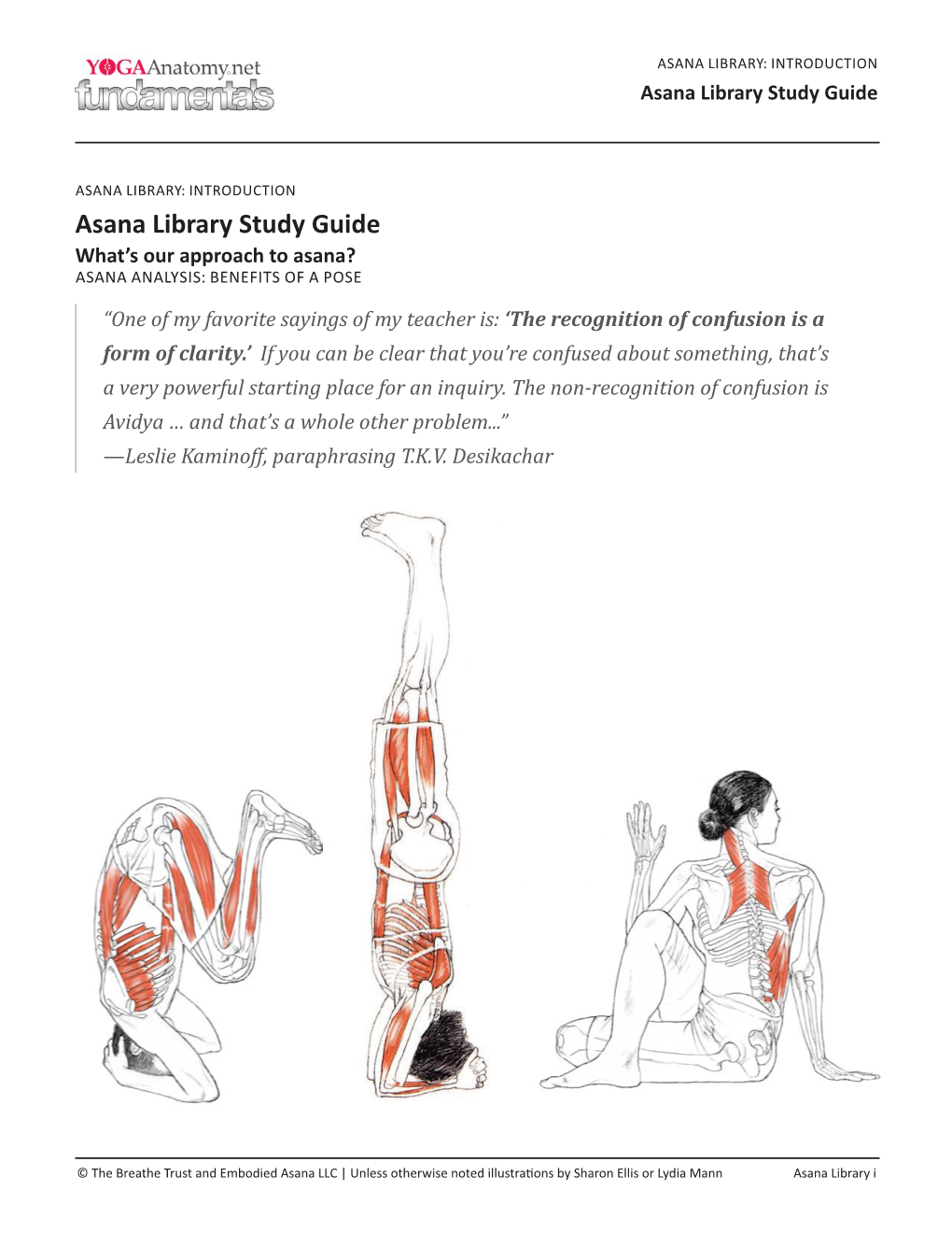 Asana Library Study Guide