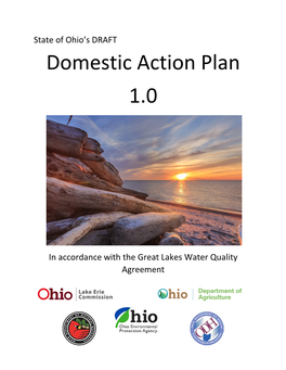 Domestic Action Plan