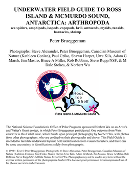 ARTHROPODA Sea Spiders, Amphipods, Isopods, Copepods, Krill, Ostracods, Mysids, Tanaids, Barnacles, Shrimp