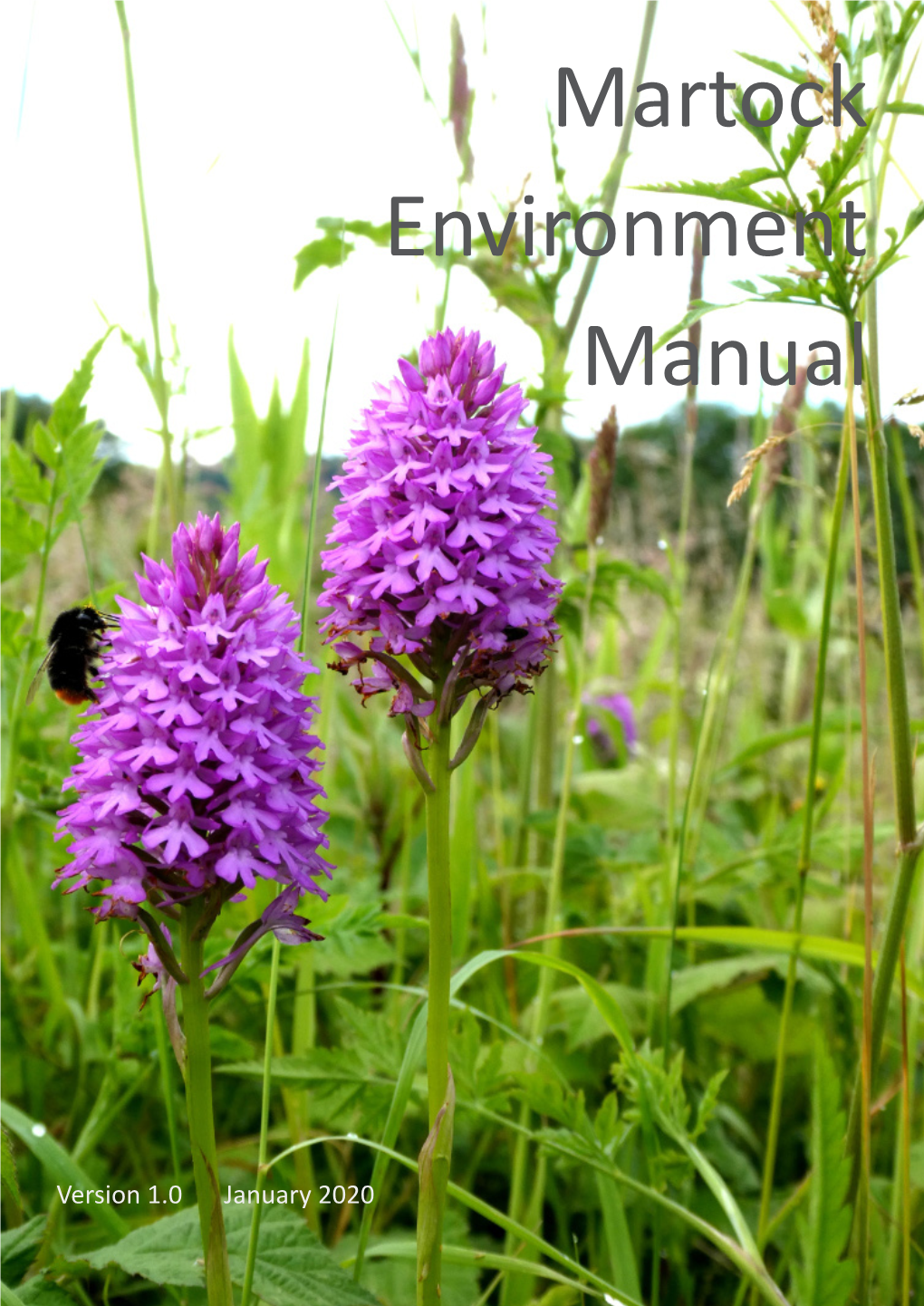 Martock Environment Manual