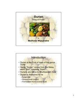 Durian Introduction