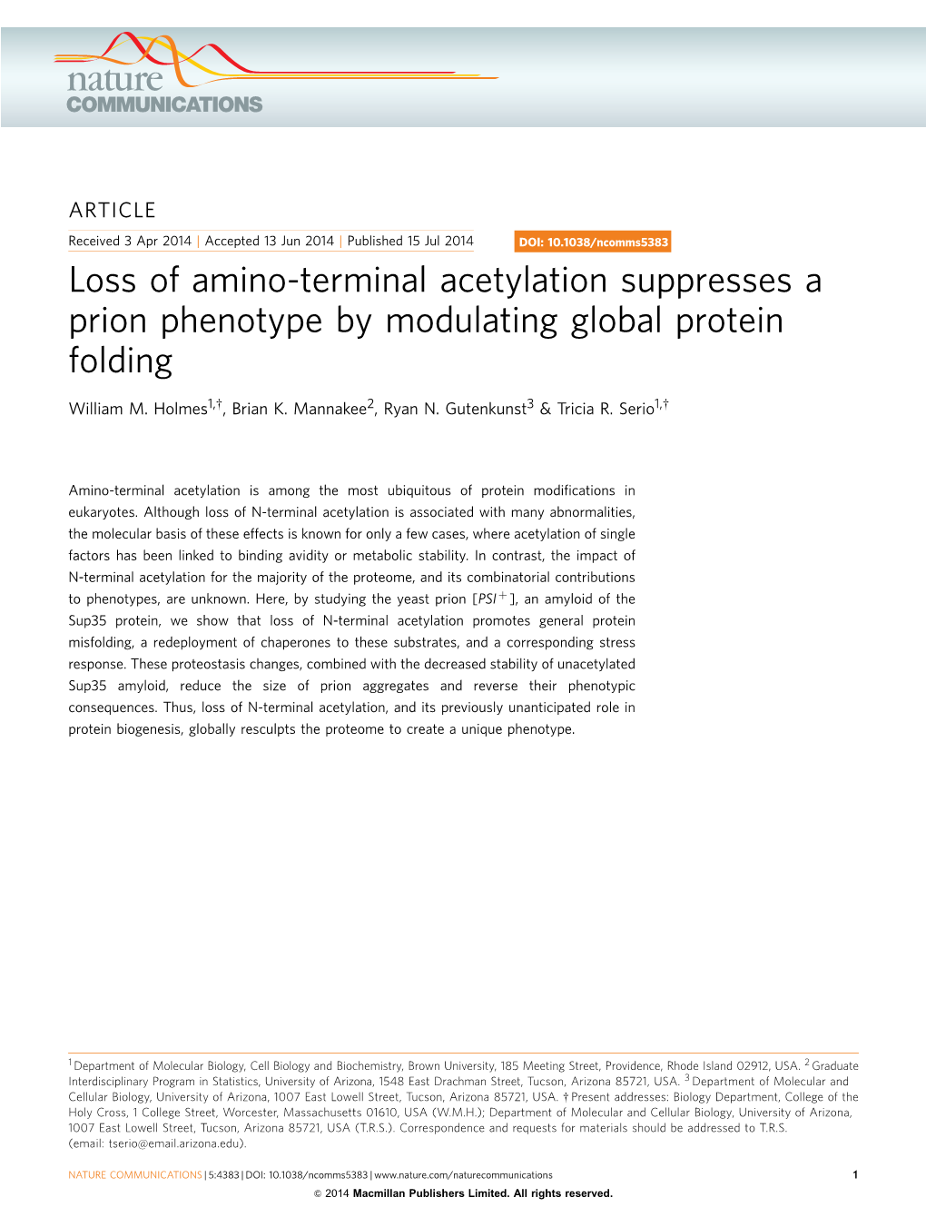 Loss of Amino-Terminal Acetylation Suppresses a Prion Phenotype by Modulating Global Protein Folding