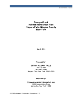 Cayuga Creek Habitat Restoration Plan Niagara Falls, Niagara County New York