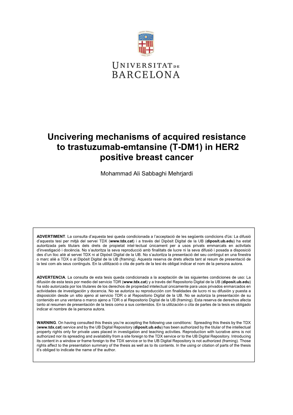 (T-DM1) in HER2 Positive Breast Cancer
