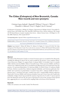 The Ciidae (Coleoptera) of New Brunswick, Canada: New Records and New Synonyms