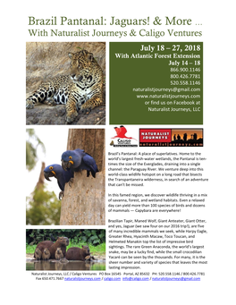 Brazil Pantanal: Jaguars! & More … with Naturalist Journeys & Caligo Ventures