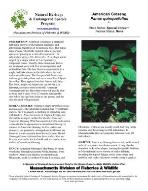 American Ginseng & Endangered Species Panax Quinquefolius L