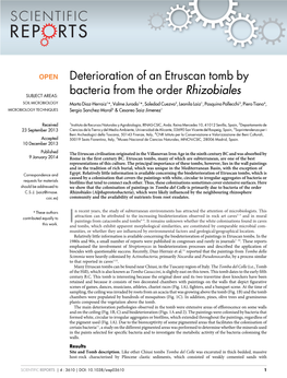 Deterioration of an Etruscan Tomb by Bacteria from the Order Rhizobiales