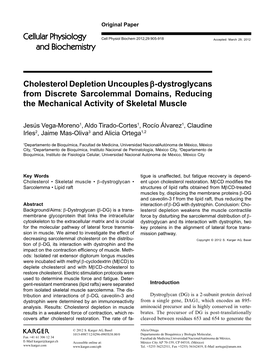 Cholesterol Depletion Uncouples Β-Dystroglycans from Discrete Sarcolemmal Domains, Reducing the Mechanical Activity of Skeletal Muscle