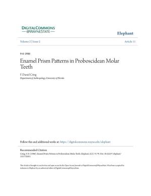 Enamel Prism Patterns in Proboscidean Molar Teeth F