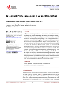 Intestinal Protothecosis in a Young Bengal Cat