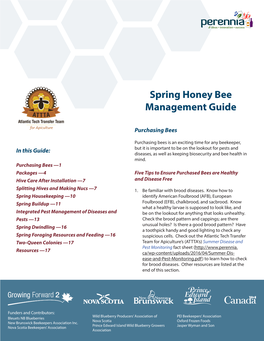 Spring Honey Bee Management Guide