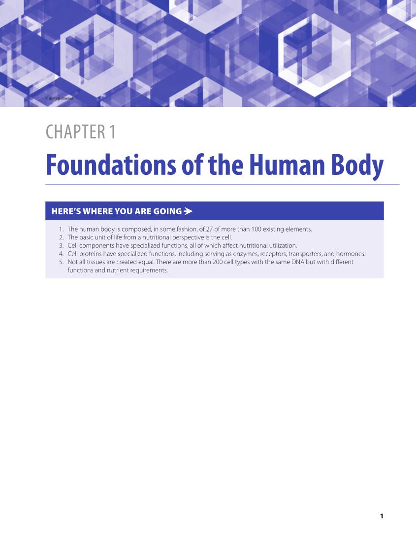 Foundations of the Human Body