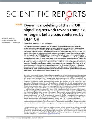 Dynamic Modelling of the Mtor Signalling Network Reveals Complex