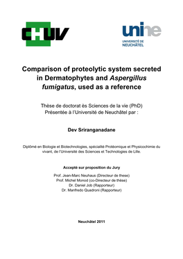 Comparison of Proteolytic System Secreted in Dermatophytes and Aspergillus Fumigatus, Used As a Reference