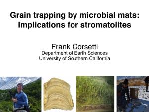 Grain Trapping by Microbial Mats: Implications for Stromatolites