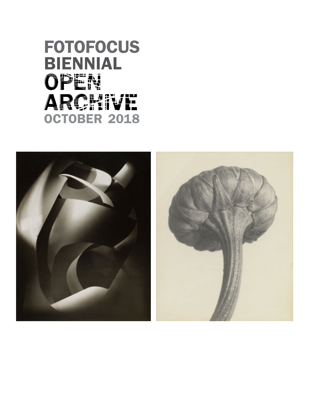 Download the No Two Alike: Karl Blossfeldt, Francis Bruguière, Thomas Ruff Gallery Guide As A