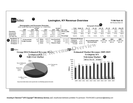 Sample Revenue Overview 5