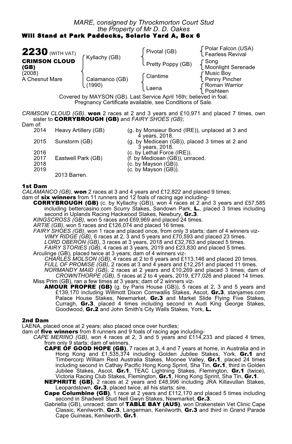 MARE, Consigned by Throckmorton Court Stud the Property of Mr D. D. Oakes Will Stand at Park Paddocks, Solario Yard A, Box 6