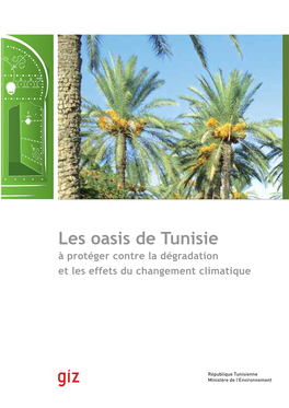 Les Oasis De Tunisie À Protéger Contre La Dégradation Et Les Effets Du Changement Climatique