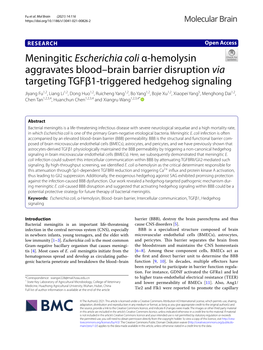 Meningitic Escherichia Coli Α-Hemolysin Aggravates Blood
