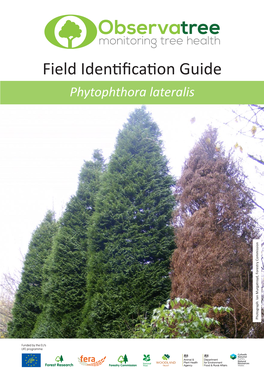 Field Identification Guide Phytophthora Lateralis