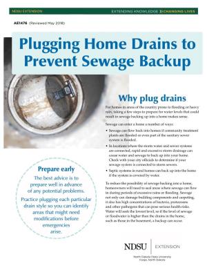 Plugging Home Drains to Prevent Sewage Backup AE1476