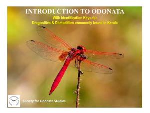 INTRODUCTION to ODONATA with Identification Keys for Dragonflies & Damselflies Commonly Found in Kerala
