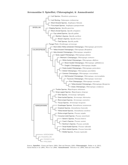 Arremonidae Species Tree