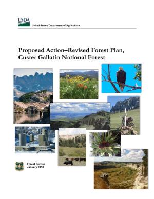 Proposed Action–Revised Forest Plan, Custer Gallatin National Forest