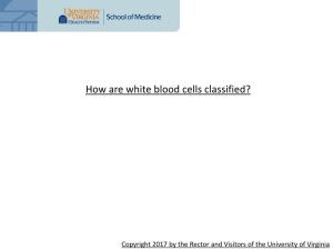 How Are White Blood Cells Classified?
