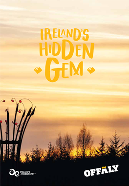 Ireland's Hidden Gem.Pdf
