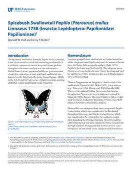 Spicebush Swallowtail Papilio (Pterourus) Troilus Linnaeus 1758 (Insecta: Lepidoptera: Papilionidae: Papilioninae)1 Donald W